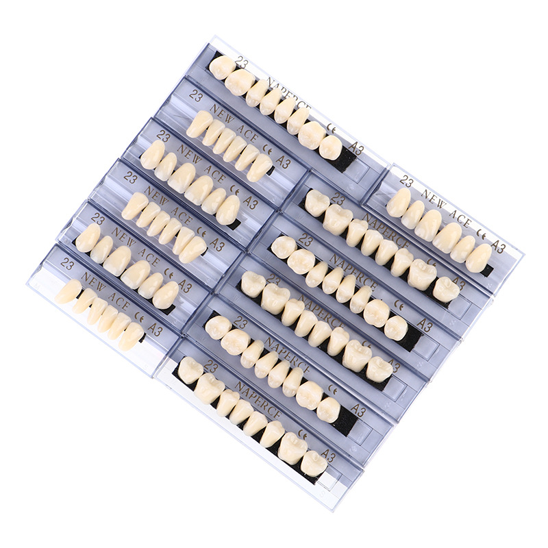 Model Kit Ixchel - 168 unids/caja Dental resina sintética dentadura