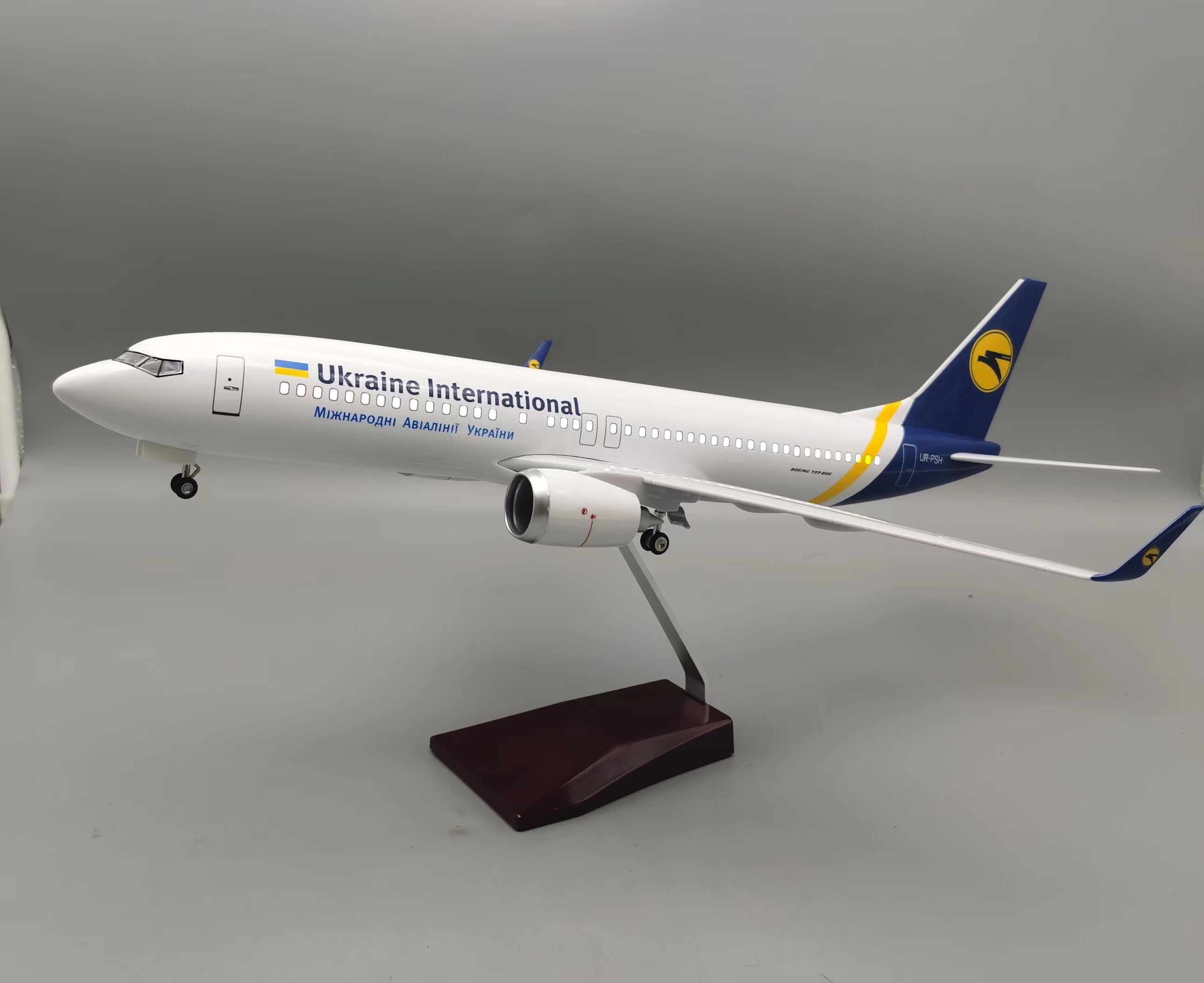 Modelo de avión de resina fund - Model Kit Ukraine reseña y precio