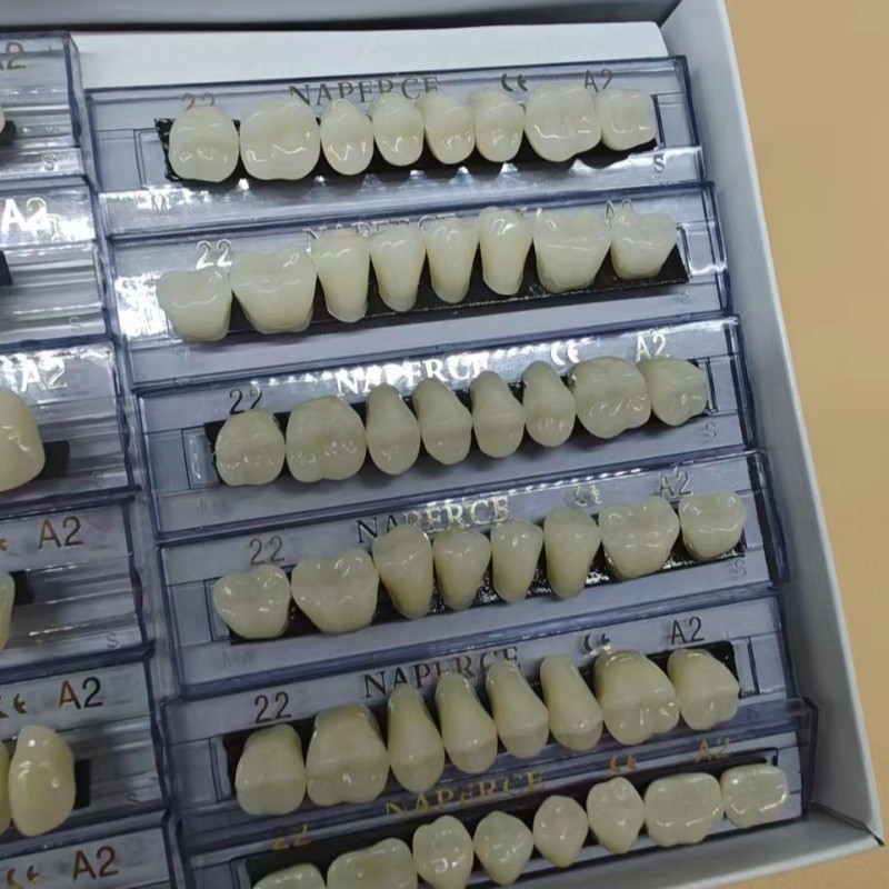 168 unids/caja Dental resina s - Model Kit Ixchel reseña y precio