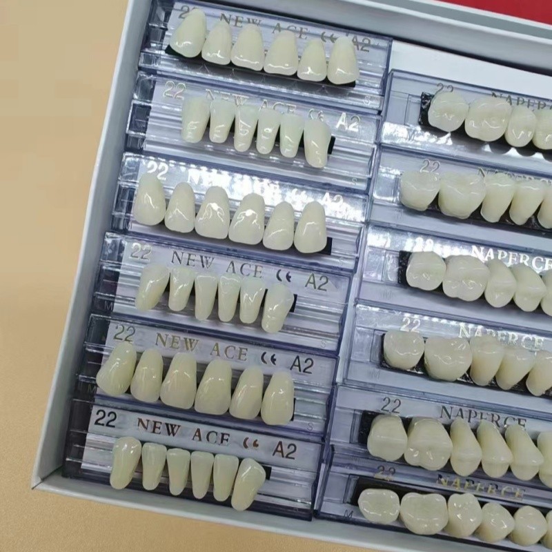 168 unids/caja Dental resina s - Model Kit Ixchel reseña y precio