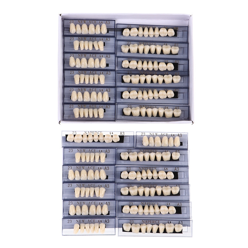 168 unids/caja Dental resina s - Model Kit Ixchel reseña y precio