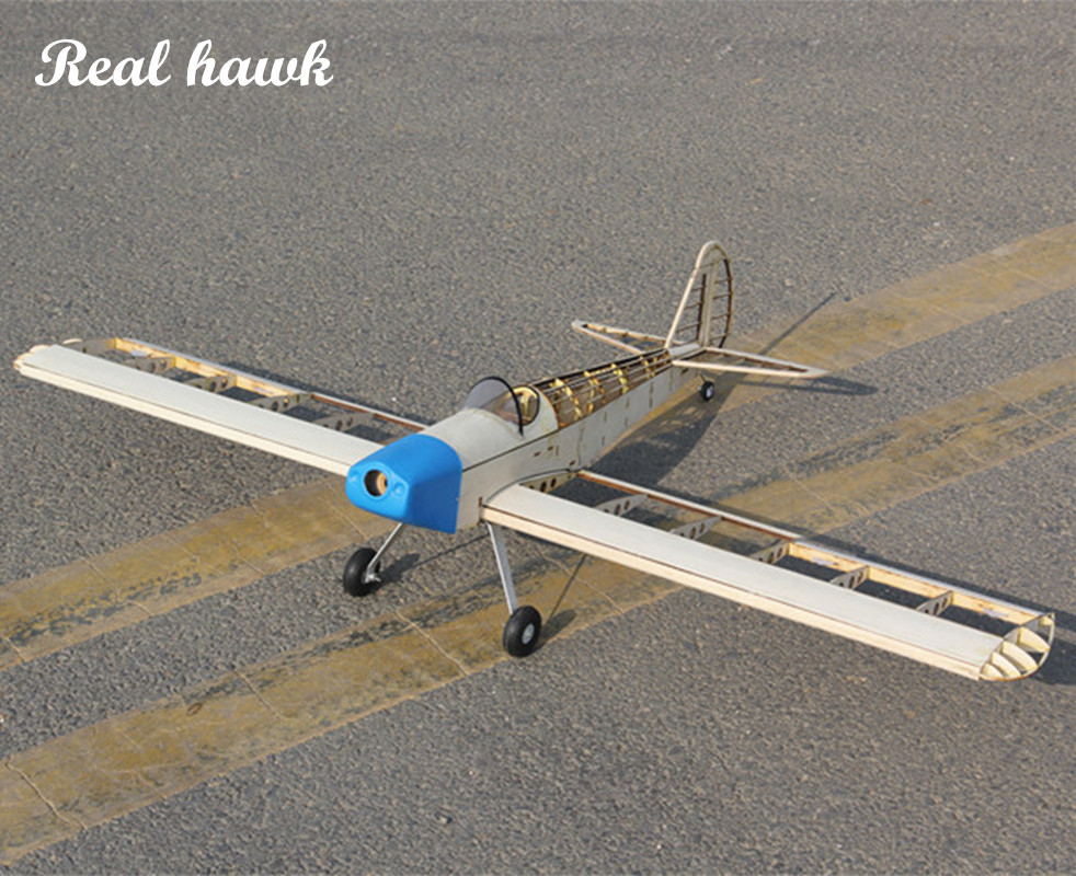 Avión de control remoto de mad - Frame Model Kit reseña y precio