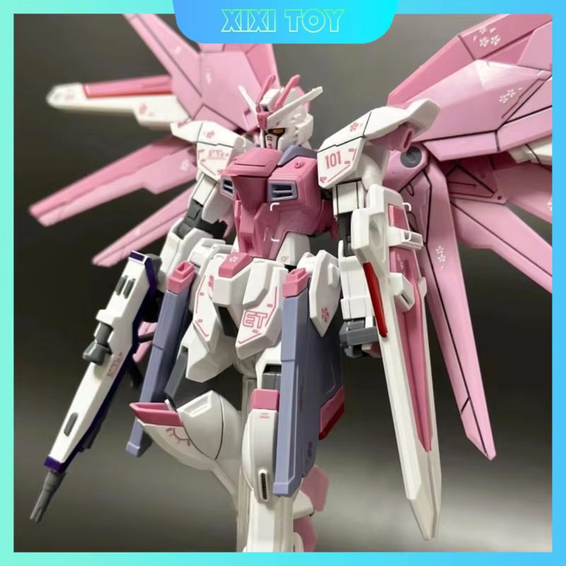 JMS HG 1/144 ZY-06 Freedom Ass - Model Kit Jms reseña y precio