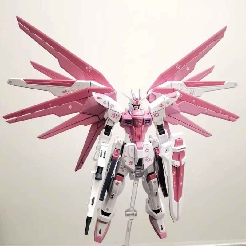 JMS HG 1/144 ZY-06 Freedom Ass - Model Kit Jms reseña y precio