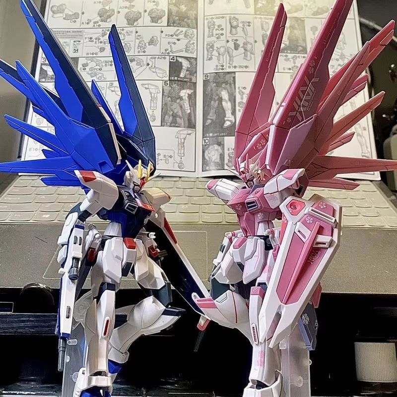 JMS HG 1/144 ZY-06 Freedom Ass - Model Kit Jms reseña y precio
